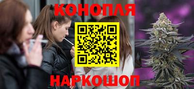гашик Бийск