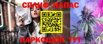 гашик Бийск