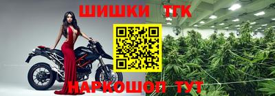 гашик Бийск